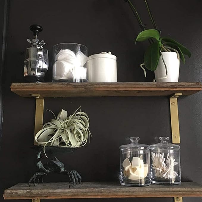 Shelf Brackets 12 Inch L Brackets for Shelves Heavy Duty Black Wall Brackets for Shelves 5mm Thick Metal Bracket Support for Shelf with Screws