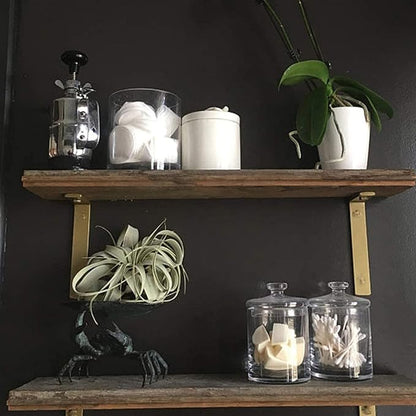 Shelf Brackets 12 Inch L Brackets for Shelves Heavy Duty Black Wall Brackets for Shelves 5mm Thick Metal Bracket Support for Shelf with Screws