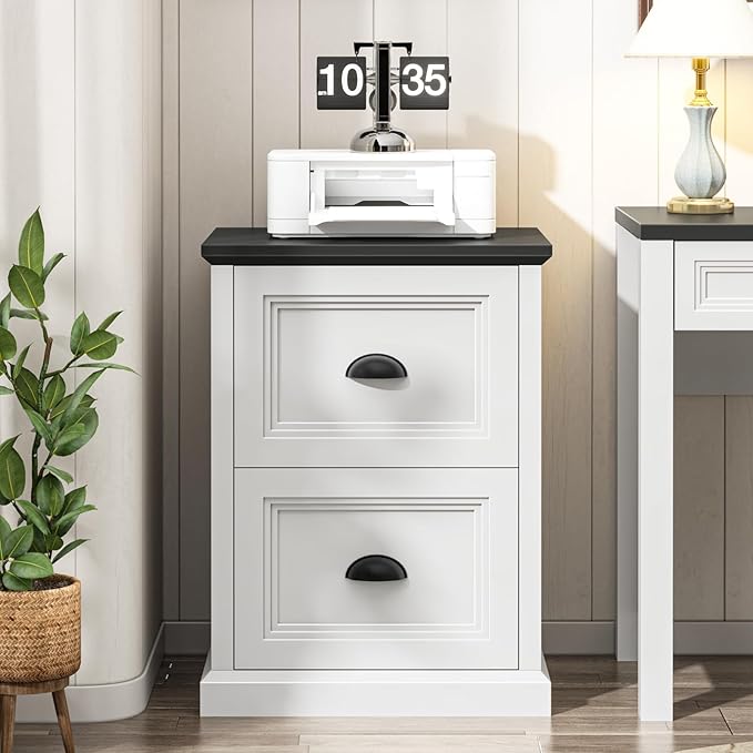 Vertical File Cabinet, Filing Cabinet with 2 File Drawers, Farmhouse Small File Cabinet Fits Letter/A4 Size, Wooden Printer Stand, Under Desk Cabinets for Home Office, White and Black