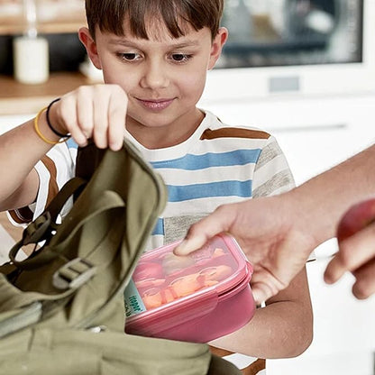 Wheat Straw Lunch Box, Leakproof 3-Compartment Bento Box for Kids & Adults, BPA-Free Lunch Containers, Microwave & Dishwasher Safe, 5.5 Cup (Muted Red)