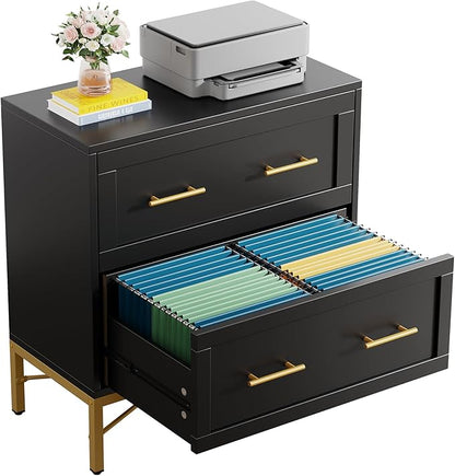 Tribesigns 2 Drawer File Cabinet, Modern Wood Lateral Filing Cabinet for Letter/Legal/A4 Size, Large File Storage Cabinets Printer Stand with Storage for Home Office, Black and Gold
