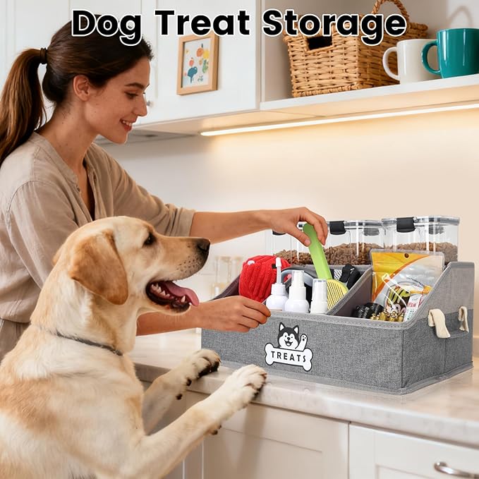 Dog Treat Container Basket for Countertop, Foldable Pet Toy Box for Living Room Area with Handles, Dog Storage Organizer with Removable Dividers for Treat Container, Leashes, Canned food, Pet Supplies