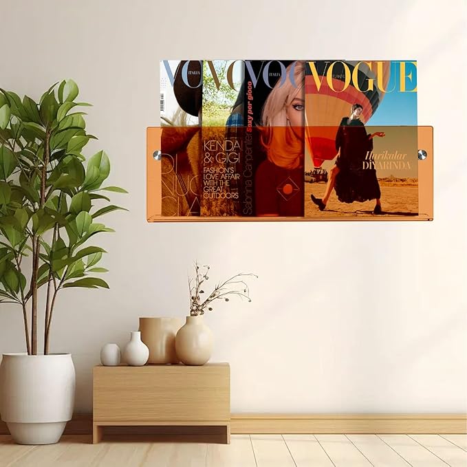 2-Pack Acrylic Magazine Holder, 24" Record Holder Magazine Rack, Fashion Hanging Bookshelf Literature Storage Rack for Waiting Room, Living Room, Office (Orange, 24 Inch)