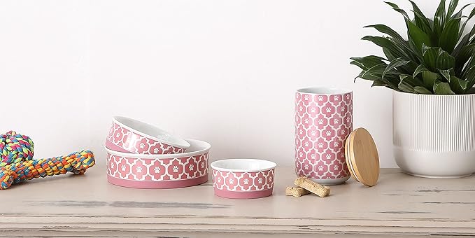 Bone Dry Lattice Collection Pet Bowl & Canister, Treat Canister, 4x6.5", Rose