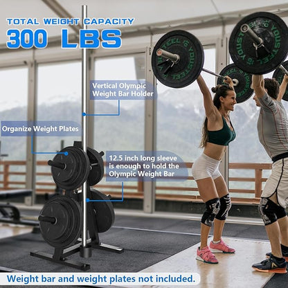 A-Frame Weight Plate Tree for 1" Olympic Plates - Holds 300 lbs, Dumbbell Rack and Home Gym Storage Stand - Organize Your Workout Area