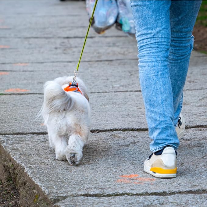Dog Leash Snap Leash Clip Clasp Swivel Clip Heavy Duty Pet Leashes Clips Key Chain 3 Inch 6 PCS for Linking Pet Collar