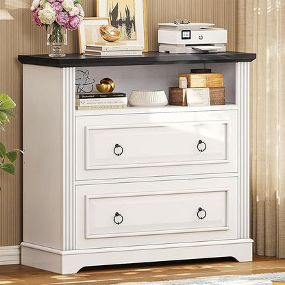 Itaar 2 Drawer File Cabinet, Farmhouse Filing Cabinet for Home Office Fits Letter, Legal, A4 Size, Wood Lateral File Cabinet with Printer Stand, Storage Shelf, White