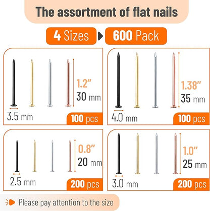 Mr. Pen- Nail Assortment Kit, 600 pcs, 4 Sizes, Assorted Colors, Small Nails for Hanging Pictures, Finishing Nails, Wall Nails for Hanging, Pin Nails, Hardware Nails, Assorted Nails, Galvanized Nails