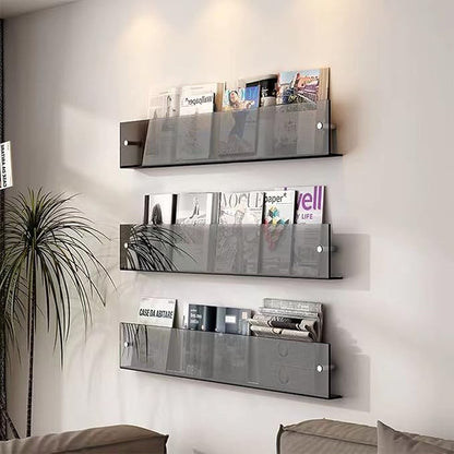 ROYALITA 2-Pack Acrylic Magazine Holder Brochure Holder, 24" Record Holder Magazine Rack, Fashion Hanging Bookshelf Literature Storage Rack for Waiting Room, Living Room, Office, Gray, 24 Inch