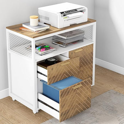 Tribesigns Modern File Cabinet with Drawers for Letter-Sized File and Door, lateral Filing Cabinet Printer Stand with Storage Shelves and with Rolling Caster for Home Office