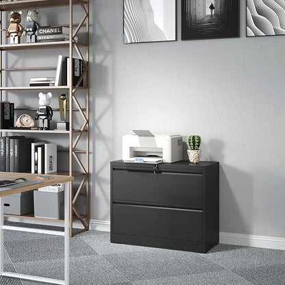 2 Drawer Lateral File Cabinet, Metal Lateral Filing Cabinet for Home Office, Filing Cabinets for Letter/Legal/A4/F4 Hanging Files (Black)