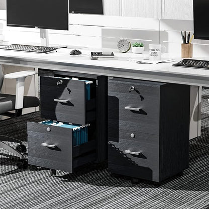 VINGLI 2-Drawer File Cabinet with Lock, Small Rolling Wood Filing Cabinet for Hanging Letter Size Filings with Tabs, Mobile Under Desk File Organizer for Home Office, Classic Black, 27.2" H