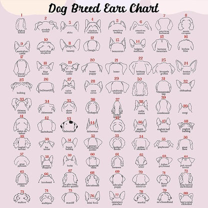 Personalized Dog Leash Holder, Custom Dog Ear Harness Wall Hanger Organizer with Name, Decorative Hooks for Leashes, Keys, Collars, Leash Rack Wall Mount for Entryway, Hallway, Gift for Pet Lovers
