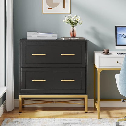Tribesigns 2 Drawer File Cabinet, Modern Wood Lateral Filing Cabinet for Letter/Legal/A4 Size, Large File Storage Cabinets Printer Stand with Storage for Home Office, Black and Gold