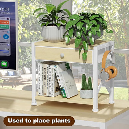 EasyCom 2-Tier Desktop Printer Stand with Large Drawer, Under Desk Storage with Wheels, Small Shelf with Storage for Paper Storage Printer Scanner Fax Home Office Use Beige