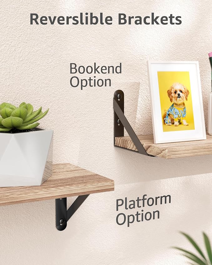 5x4 Shelf Brackets 6-Pack, Shelf Support Shelf Holder Steel Wall Mount Heavy Duty Small L Shape Triangle 90 Degree Metal Black with Screws Anchors Soporte de Estante