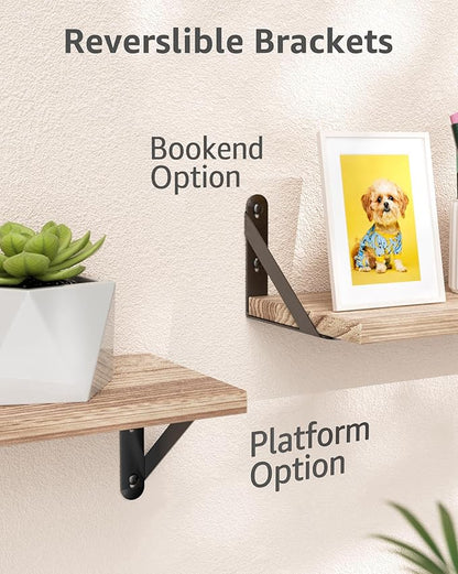 5x4 Shelf Brackets 6-Pack, Shelf Support Shelf Holder Steel Wall Mount Heavy Duty Small L Shape Triangle 90 Degree Metal Black with Screws Anchors Soporte de Estante