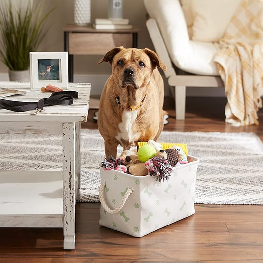 Bone Dry Pet Storage Collection Paw and Bone Print, Small Rectangle, 14x8x9", Mint