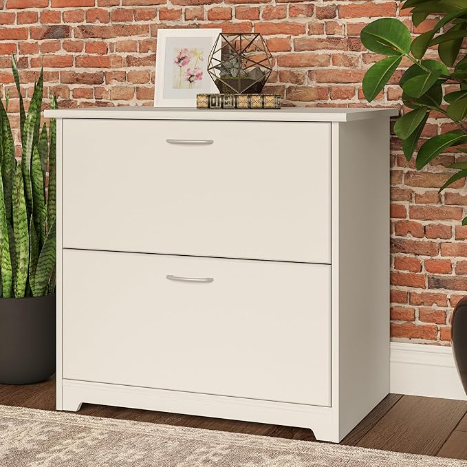 Bush Home Cabot 2 Drawer Lateral File Cabinet in White, Home Office Chest for Letter, Legal, and A4-size Document Storage