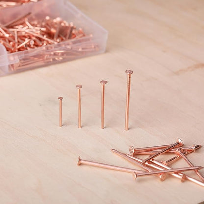 Mr. Pen- Nail Assortment Kit, 600 Pcs, 4 Sizes, Rose Gold, Small Nails for Hanging Pictures, Finishing Nails, Wall Nails for Hanging, Pin Nails, Hardware Nails, Assorted Nails, Galvanized Nails