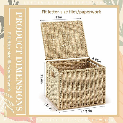 2 Pack Paper Rope File Box Organizers Collapsible Letter Size Filing Cabinet with Lid Woven Hanging File Basket Portable Decorative Document Storage Box for Office/Decor/Home (Letter Size)