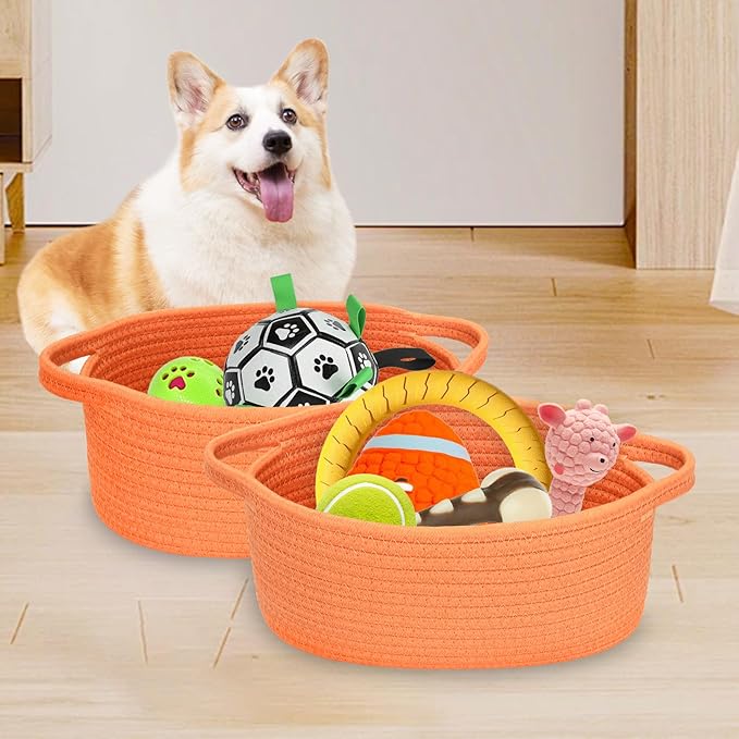 ABenkle Small Basket with Handles - Decorative Durable Rope Woven Storage Bin Shelf Storage Organizer Cube, Easter Baby Gift Basket, 12"x8"x5"