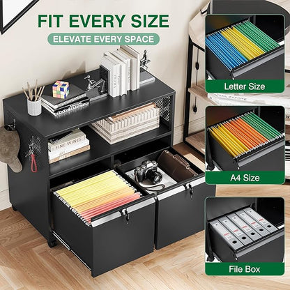 Metal File Cabinet,2 Drawer Filing Cabinet with Lock,Rolling Printer Stand Storage Cabinets with Shelves for Home Office Letter/Legal/A4 Size Files(Black)