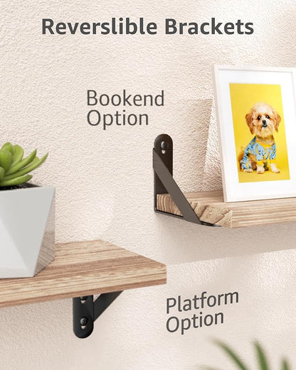 4x3 Shelf Brackets 6-Pack, Shelf Support Shelf Holder Steel Wall Mount Heavy Duty Small L Shape Triangle 90 Degree Metal Black with Screws Anchors Soporte de Estante