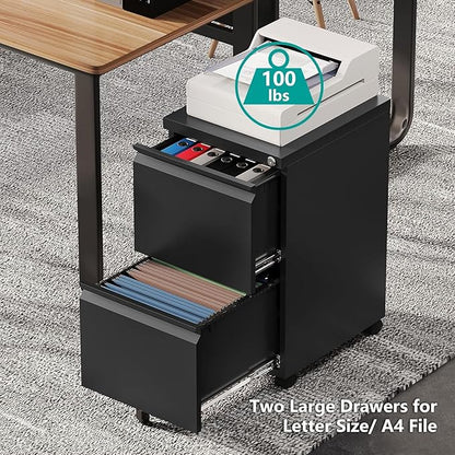2 Drawer Metal File Cabinet with Lock, Rolling File Cabinets with Lock for A4/Legal/Letter Size, Under Desk Filing Cabinet for Home Office Assembly Required（Black）