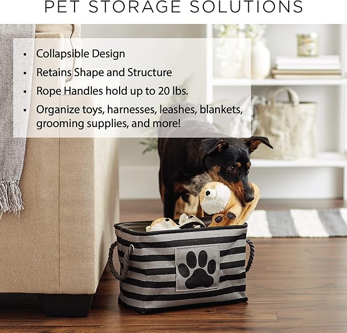 Bone Dry Pet Storage Collection Paw and Bone Print, Small Rectangle, 14x8x9", Black