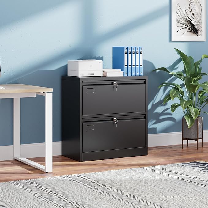 SUXXAN Metal 2 Drawer Lateral File Cabinet with Lock - Wide Filing Cabinet for Letter/Legal/F4/A4 Hanging Files - Includes Business Card Holder, Home Office School Storage,Black