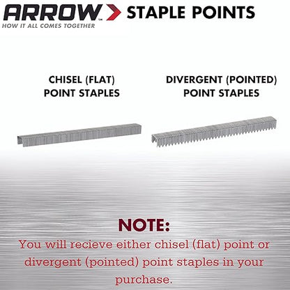 Arrow Fastener 505IP Heavy Duty T50 Staples for Upholstery, Construction, Furniture, Crafts, 3/8-Inch Crown Size, 5/16-Inch Leg Length, 5000-Pack, Made in the USA