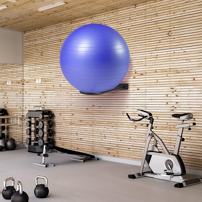 Medicine Ball Rack - Wall Mount Stability Ball Storage Rack(1 Black)