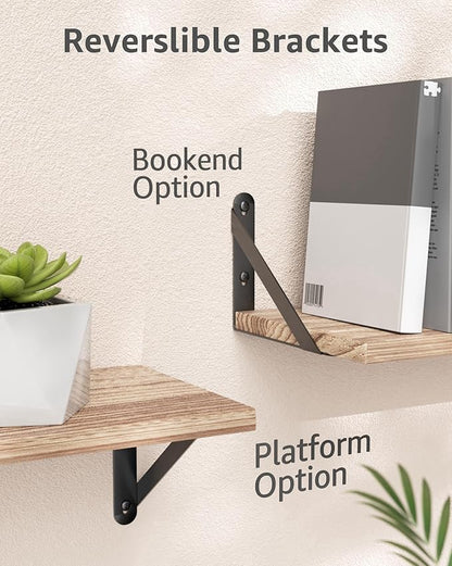 6x4.5 Shelf Brackets 2-Pack, Shelf Support Shelf Holder Steel Wall Mount Heavy Duty Small L Shape Triangle 90 Degree Metal Black with Screws Anchors Soporte de Estante