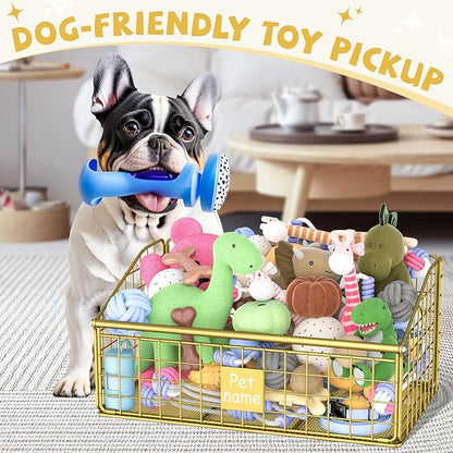 Indestructible Dog Toy basket, Medium Toy Box for Dogs,Pet Toy Bin Dog Metal Basket for Toys, Toy Storage Organizer, Toy Box for Living Room Area (Gold)