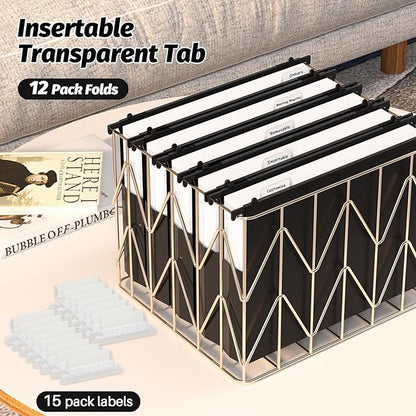 Extra Capacity Plastic Hanging File Folders,12 Pack Reinforced Hang Folders Letter Size,Accordian Pocket,Heavy Duty 2 Inch Expansion,Hard Hanging Folder Organizer for Office Home,Black