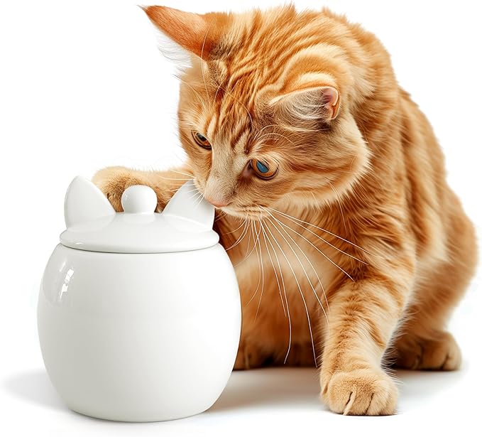 Barnyard Designs Cat Treat Container – Airtight Ceramic Treat Jar with Lid, Large White Pet Treat Canister for Kitchen Counter (Cat)