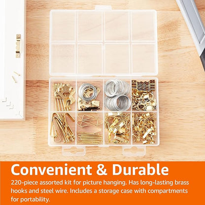 Amazon Basics Picture Hanging Hardware Assortment Kit, 220 Piece Set, Brass