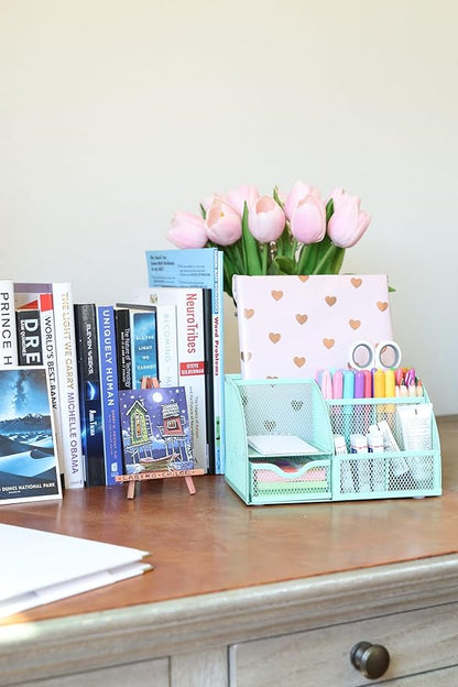 Annova Mesh Desk Organizer Office with 7 Compartments + Drawer/Desk Tidy Candy/Pen Holder/Multifunctional Organizer (Turquoise)