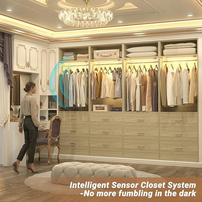 4FT Closet System with 2 Motion Sensor LED Lights, 48" Closet Systems with 6 Drawers, Closet Organizer System with 2 Hanging Rods & 2 Shelves, Heavy Duty 48 Inch Walk-in Closet, White Oak