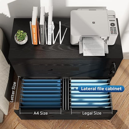 DEVAISE 2-Drawer Wood Lateral File Cabinet with Lock for Home Office, Black