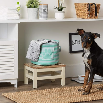 Bone Dry Pet Storage Collection Striped Paw Patch Bin, Aqua, Small Round