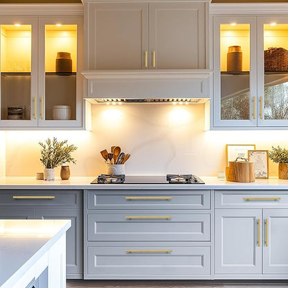 JOY DECOR 15 Pack Cabinet Handles, Gold Cabinet Pulls, 2-1/2 in Hole Center Kitchen Cabinet Handles, Stainless Steel T Bar Handles for Dresser Drawers