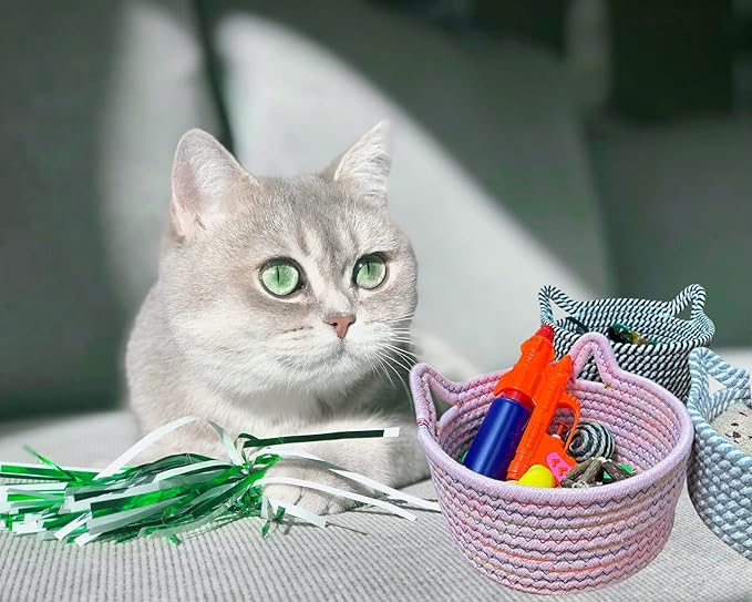 Small Woven Baskets | Mini Storage Bins | Cotton Rope Baby Nursery Organizers | Cute Round Cat Ears Basket for Organizing Desk Decor Kids Toy Dog Cat Baby Girls Gifts-Set of 3(Black white)