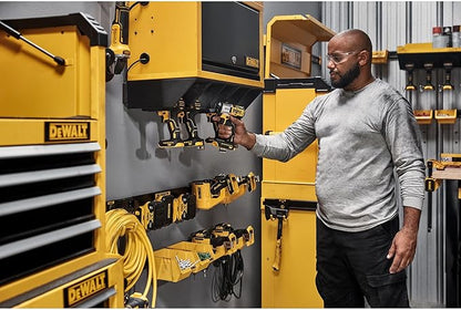 DEWALT Tool Organizer, Power Tool Holster, Mounts to Metal Rails, DEWALT Workshop Storage System Compatible (DWST82823)