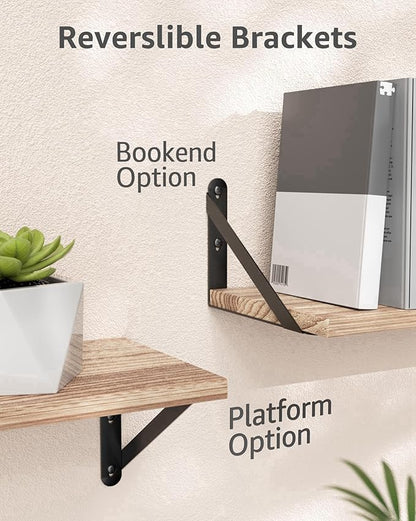 6.7x4.7 Shelf Brackets 6-Pack, Shelf Support Shelf Holder Steel Wall Mount Heavy Duty Small L Shape Triangle 90 Degree Metal Black with Screws Anchors Soporte de Estante