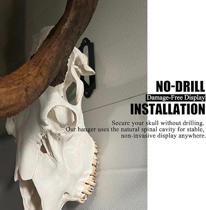 European Mount Skull Hanger, Euro Mount Wall Hanger for Deer, Antelope, Coyote and Other Medium Animals, Heavy Duty Skull Wall Hooker with Easy Installation Kit for Indoor Outdoor