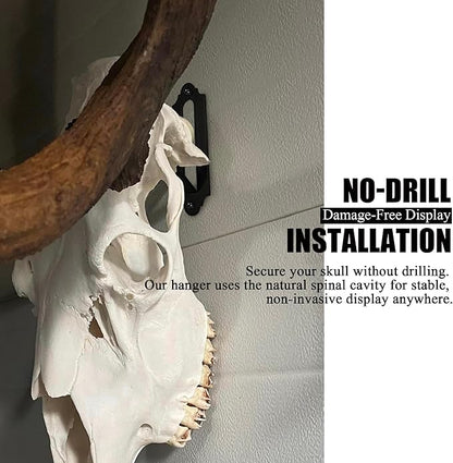 European Mount Skull Hanger, Euro Mount Wall Hanger for Deer, Antelope, Coyote and Other Medium Animals, Heavy Duty Skull Wall Hooker with Easy Installation Kit for Indoor Outdoor