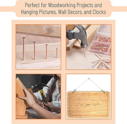 Mr. Pen- Nail Assortment Kit, 600 Pcs, 4 Sizes, Rose Gold, Small Nails for Hanging Pictures, Finishing Nails, Wall Nails for Hanging, Pin Nails, Hardware Nails, Assorted Nails, Galvanized Nails