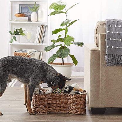 Bone Dry Pet Storage Collection, Bone Shape Hyacinth Toy Basket, Dark Brown, Medium - 21x13x8"